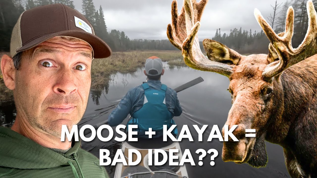 Video thumbnail for Sea Kayaking for Moose!? | Kayak touring in Algonquin Park
