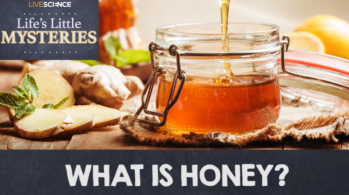 Video thumbnail for Life's Little Mysteries: The Science of Making Honey