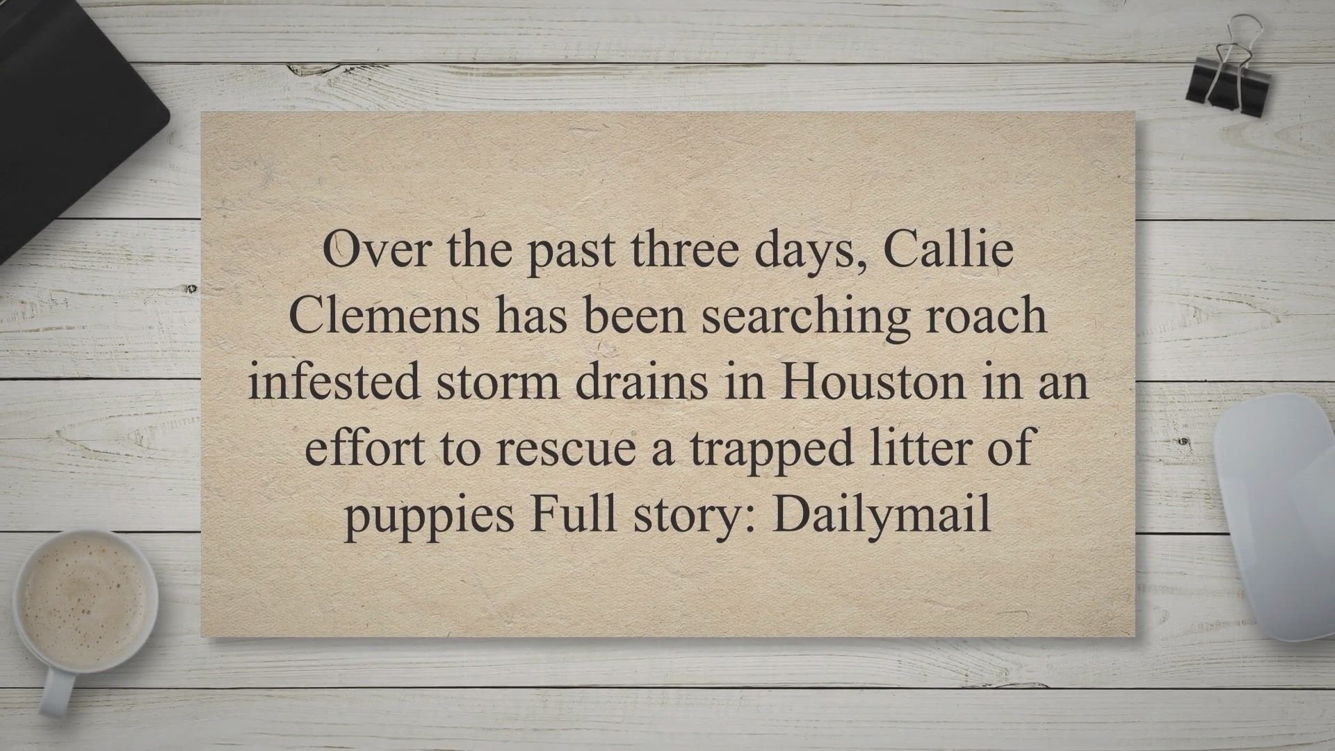Video thumbnail for Houston woman has spent THREE DAYS crawling through cockroach-infested storm drains to rescue puppies whimpering in the sewers