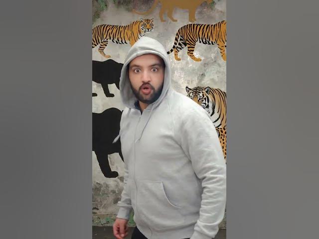 Video thumbnail for #foryou #tiger #grocerystore #newsong #funny #carsongs #supermarket #love #oldisgoldmoviesong #groce