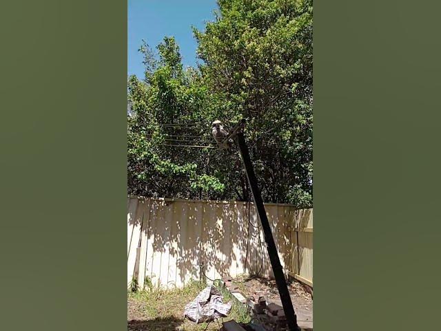 Video thumbnail for 27 October 2025