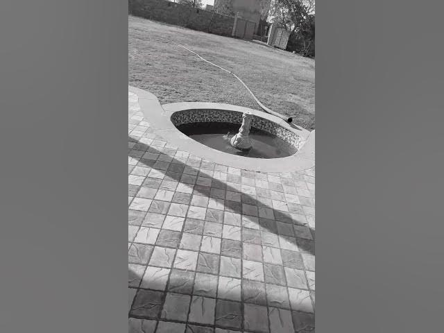 Video thumbnail for #bollywood #movie #youtubeshorts #jakharabhimaan0799 #love