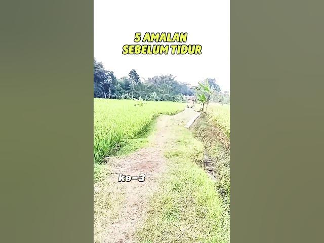 Video thumbnail for 5 Amalan sebelum tidur#lenterahati #shortsmotivasi#motivasiislami2026