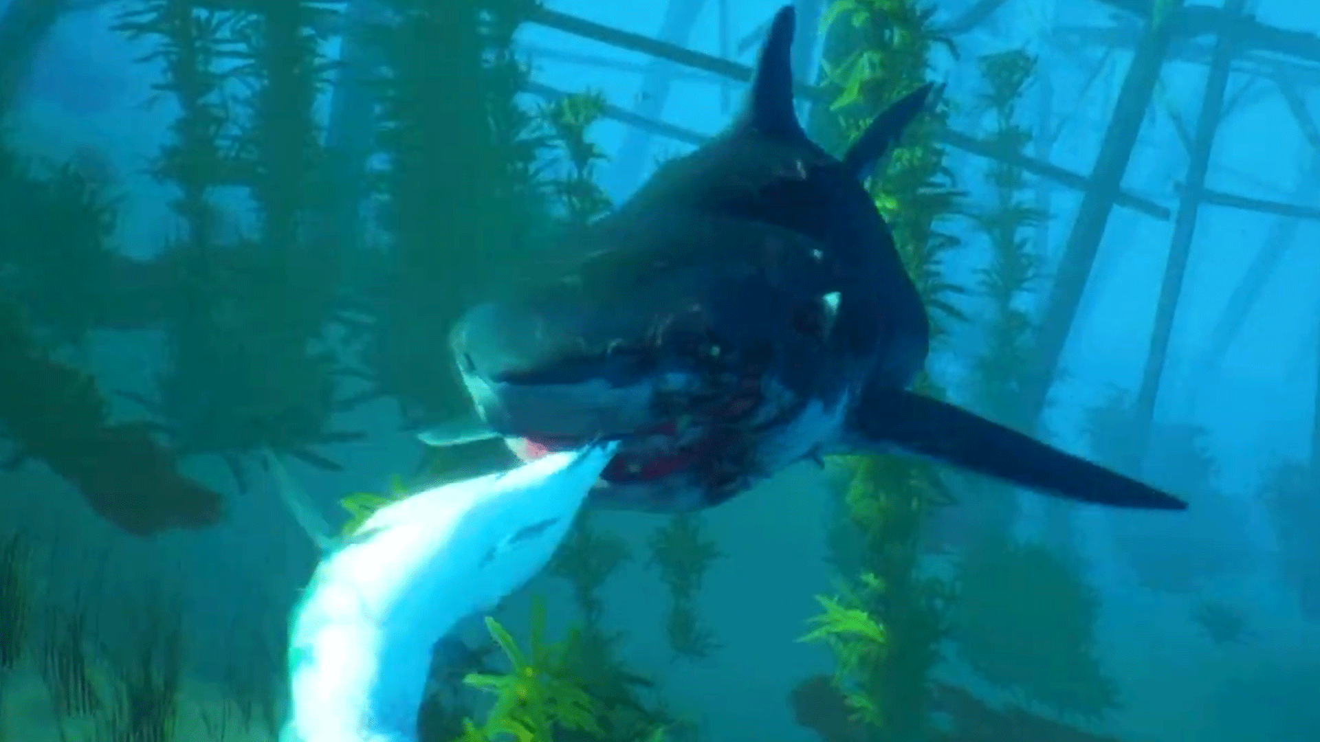 Video thumbnail for Maneater - Official Mobile Teaser Trailer