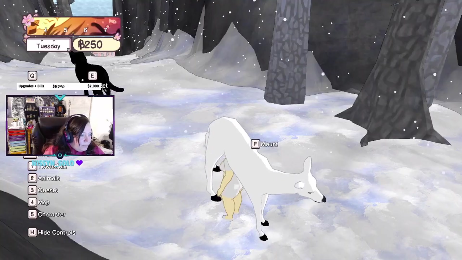 Video thumbnail for It's Just Chaos. My Honest Livestream Experience