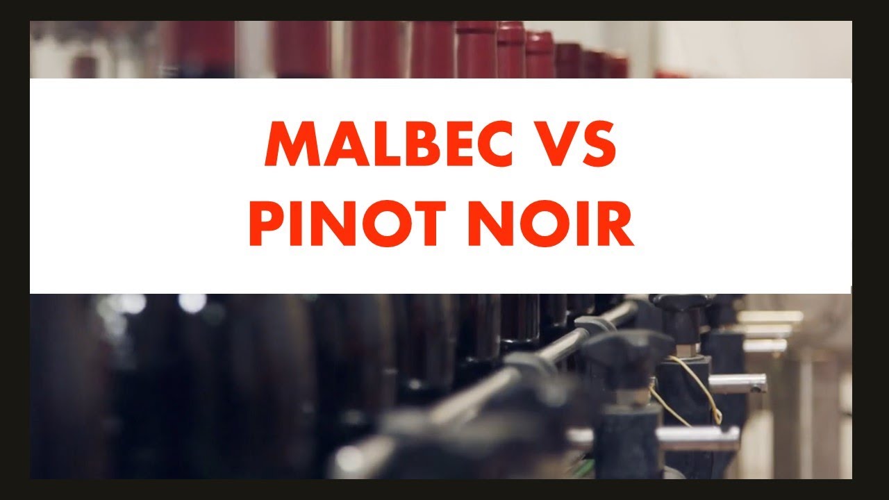Video thumbnail for Malbec vs Pinot Noir | Quick Sip