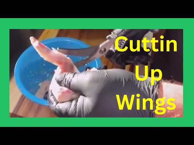 Video thumbnail for How To Cut Chicken Wings With Scissors
