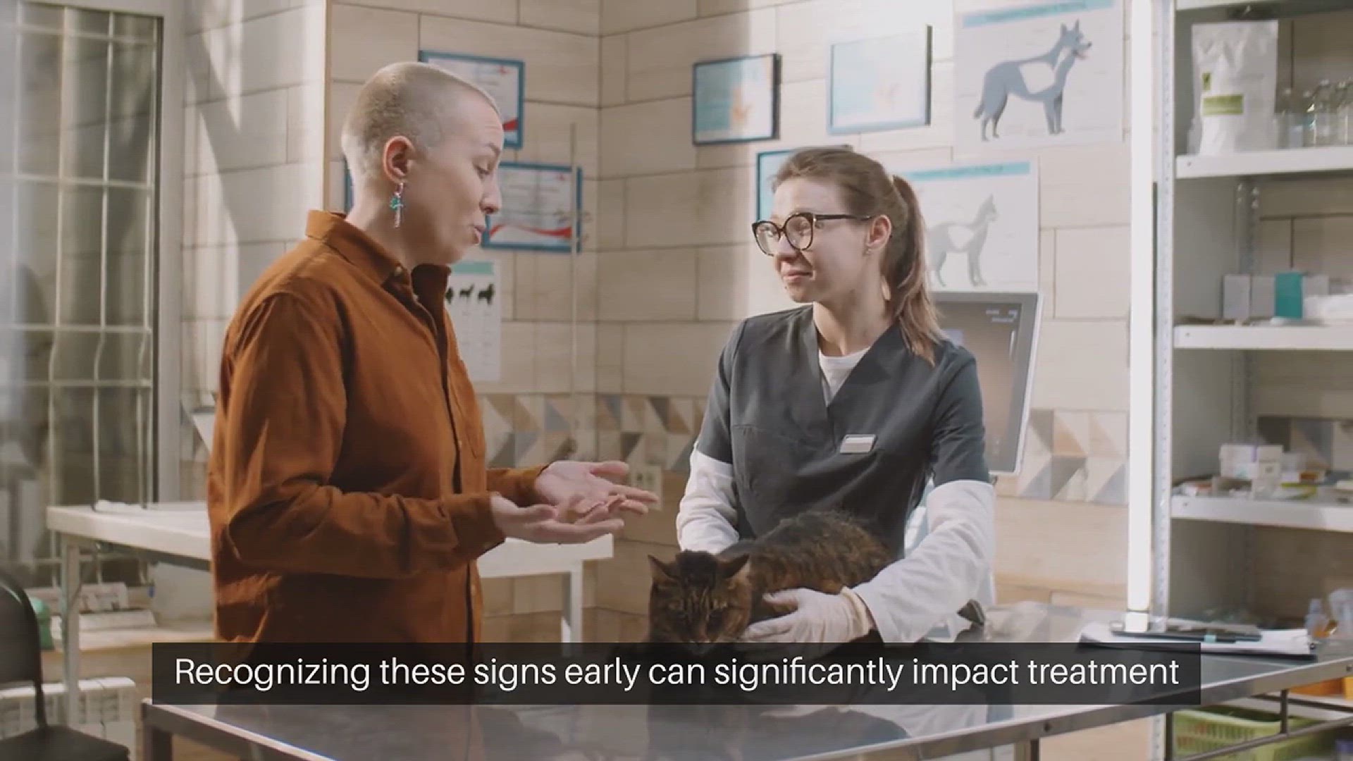 Video thumbnail for Pet Cancer Symptoms