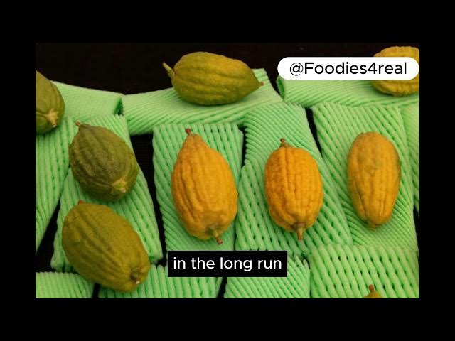 'Video thumbnail for Citron: The Ancient Citrus Packed with Surprising Benefits'