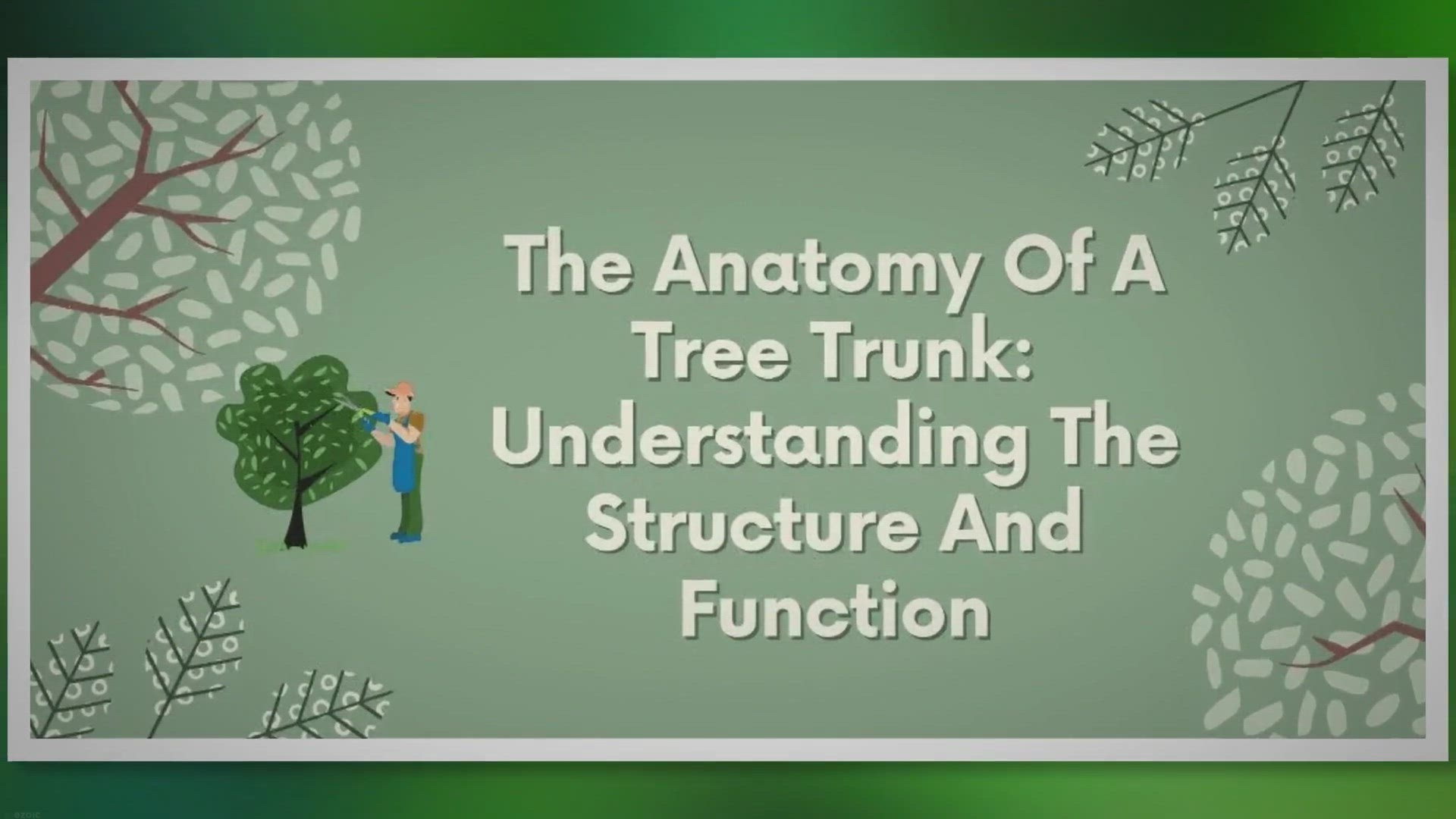 Video thumbnail for Unveiling the Hidden World: Exploring Tree Trunk Anatomy