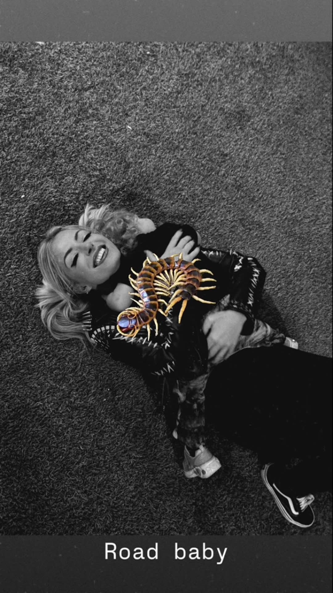 Video thumbnail for Centipede