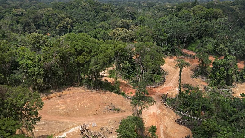 Video thumbnail for Liberia: Supreme Court rules ex-minister Tweah not immune to prosecution