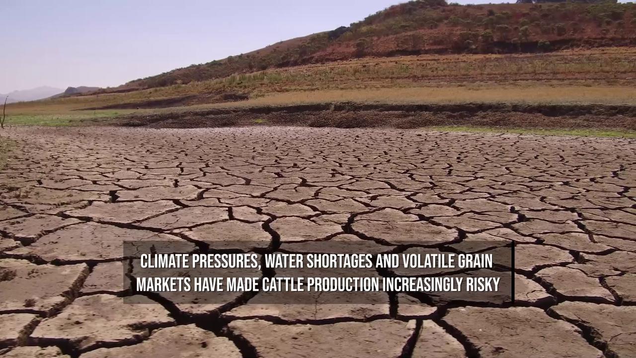 Video thumbnail for America's Shrinking Cattle Herd Keeps Beef Prices High.