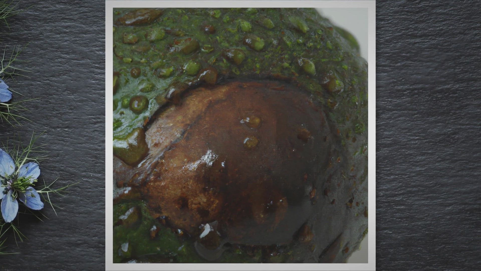 'Video thumbnail for Timing is Key: A Guide to Transplanting Your Avocado Seed from Water to Soil'