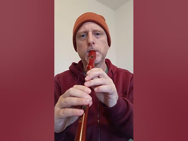 Video thumbnail for Blarney Pilgrim Irish 3-Part Jig on Descant Recorder
