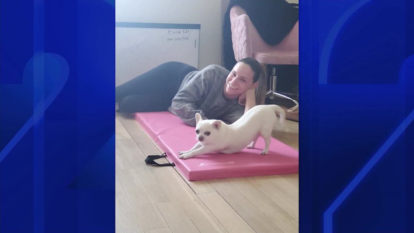 Video thumbnail for Grieving Long Island pet owner seeks answers after dog dies following 3-day hospital stay