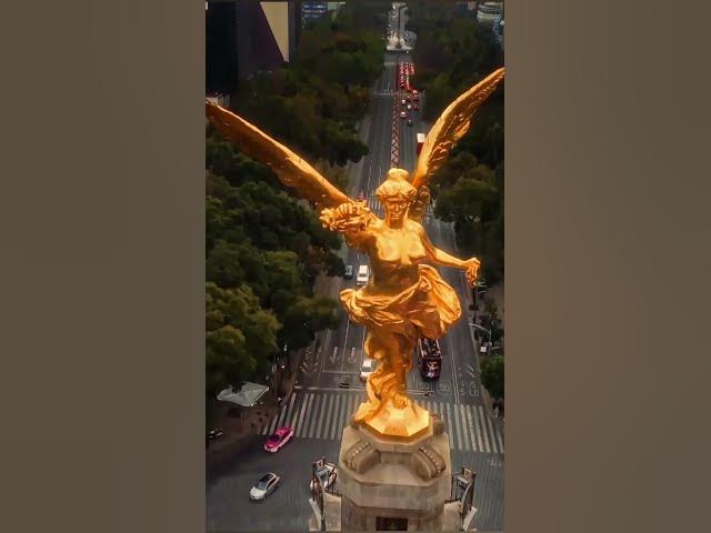 Video thumbnail for Los Angeles 🌴✨ — your dream trip starts here!#LosAngeles #TravelWithTravolic