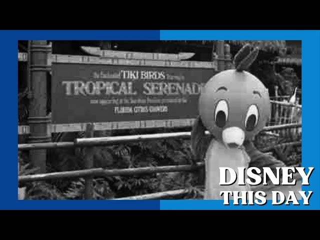 Video thumbnail for Tropical Serenade | DISNEY THIS DAY | October 6, 1971
