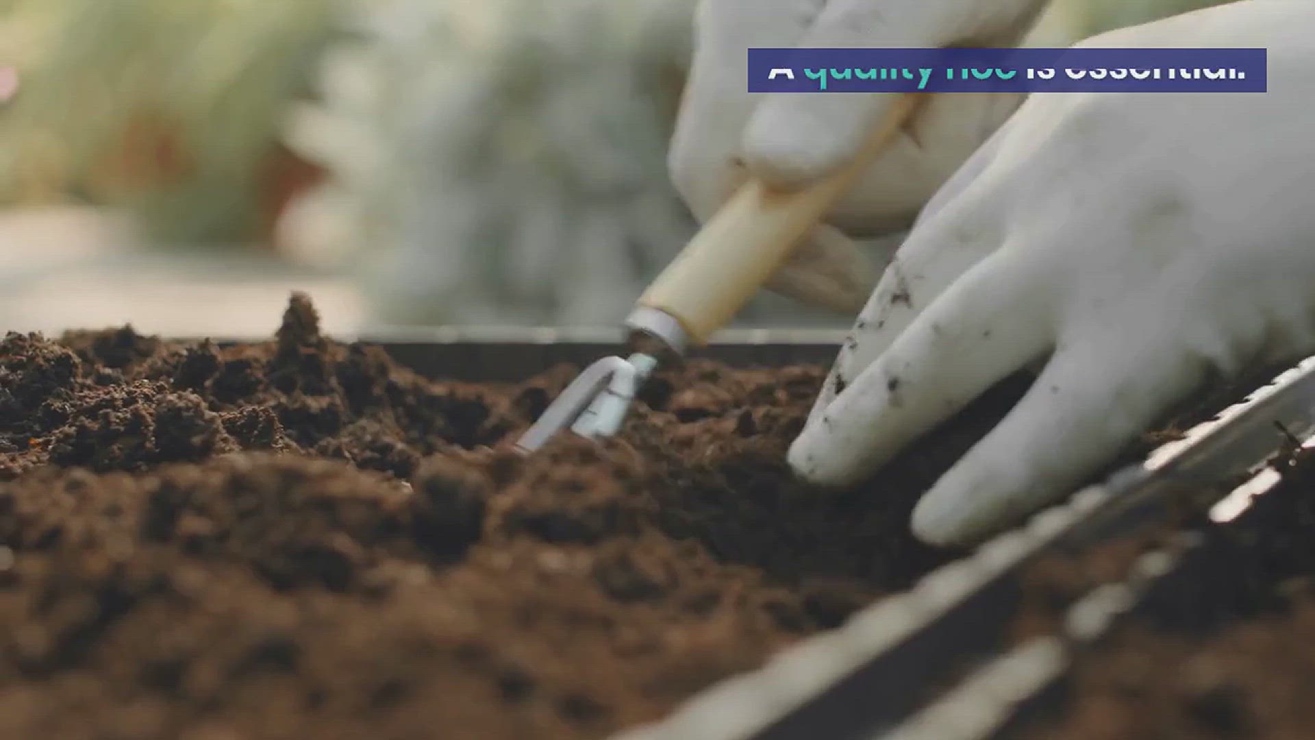 'Video thumbnail for How to Choose the Best Gardening Hoe'