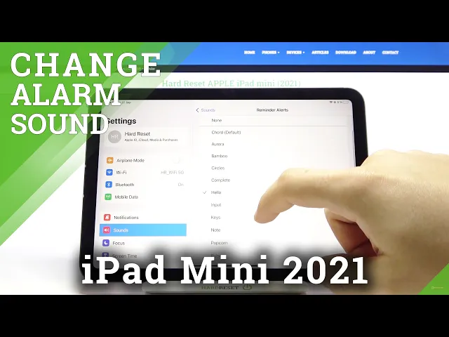 Video thumbnail for Reminder Alerts on iPad Mini (2021) - Open & Listen to all APPLE Reminders