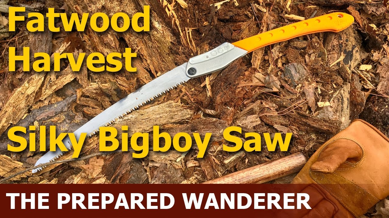 Video thumbnail for Fatwood Harvest with Silky Big Boy Saw