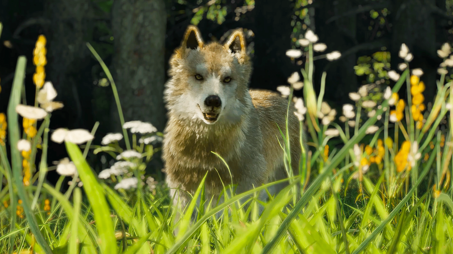 Video thumbnail for Ranger's Path: National Park Simulator - Official Wildlife Trailer