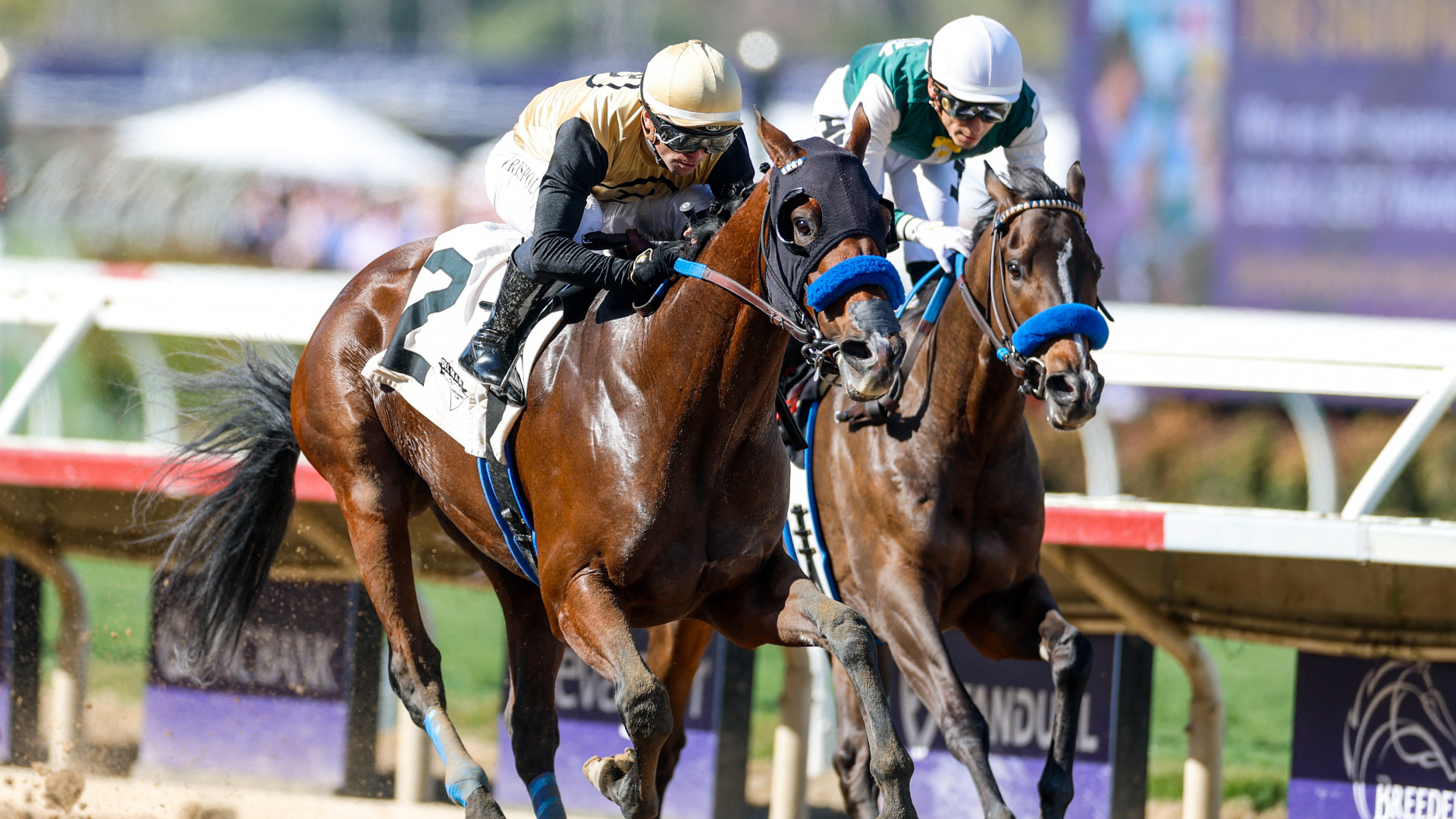 Video thumbnail for Revamping the Thoroughbred Industry for Young Fans