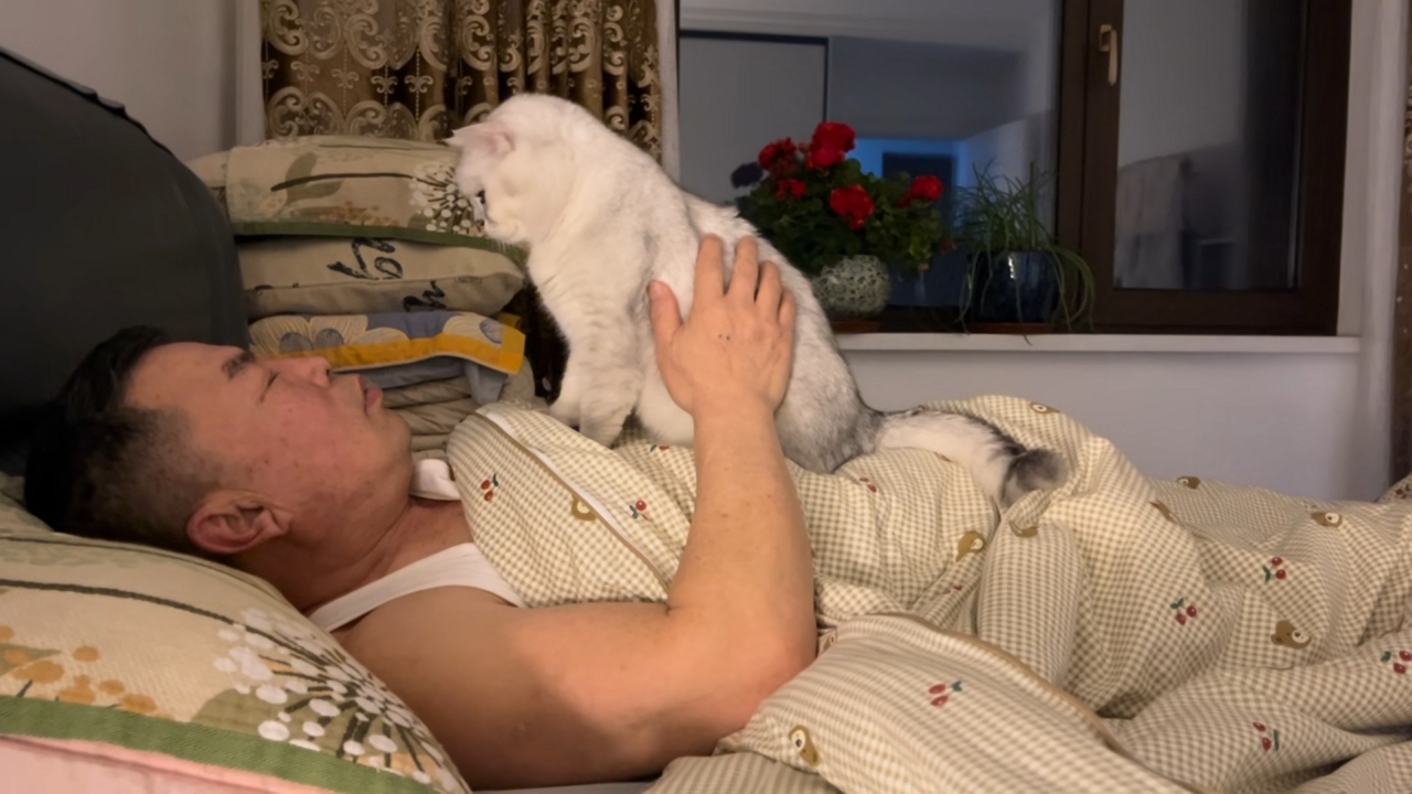 Video thumbnail for Cat's Sweet Pats Wake Up Sleeping Owner