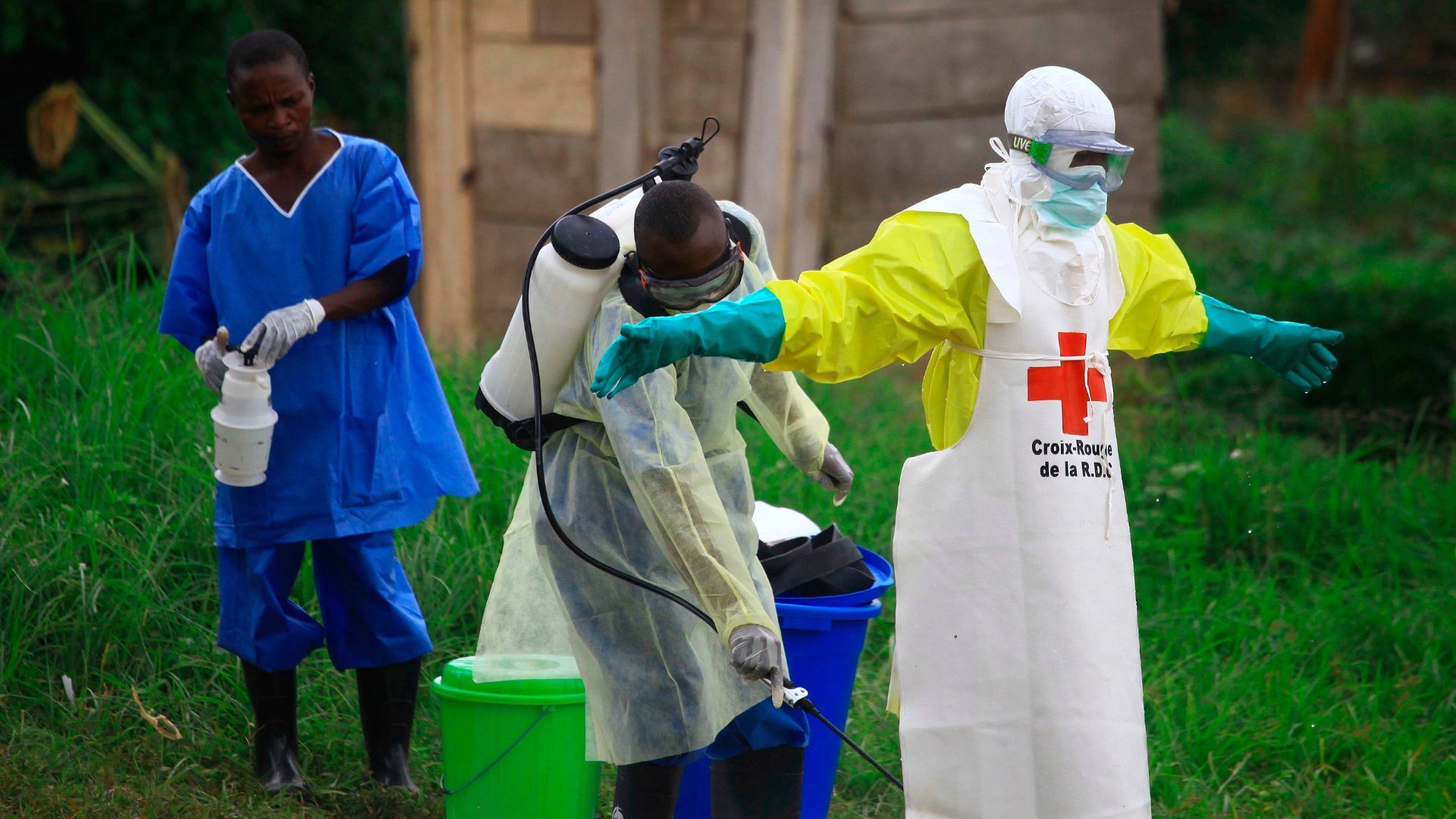 Video thumbnail for WHO declares global health emergency over the Ebola outbreak in DR Congo, Uganda