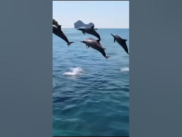 Video thumbnail for #butifullplace#foryou#Thailand #viralvideo#ytshorts#ytstudio #entertainmentshorts#travelThailand