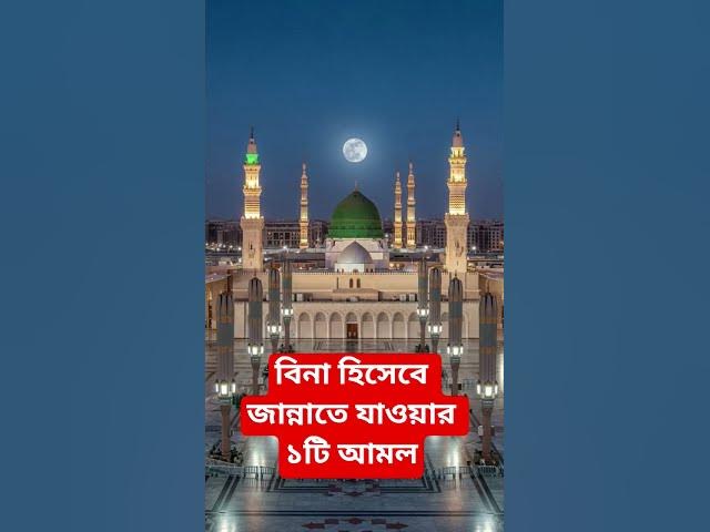 Video thumbnail for বিনা হিসেবে জান্নাতে যাওয়ার ১টি আমল#shorts #viral#sheikh_ahmadullah#islamicalortips