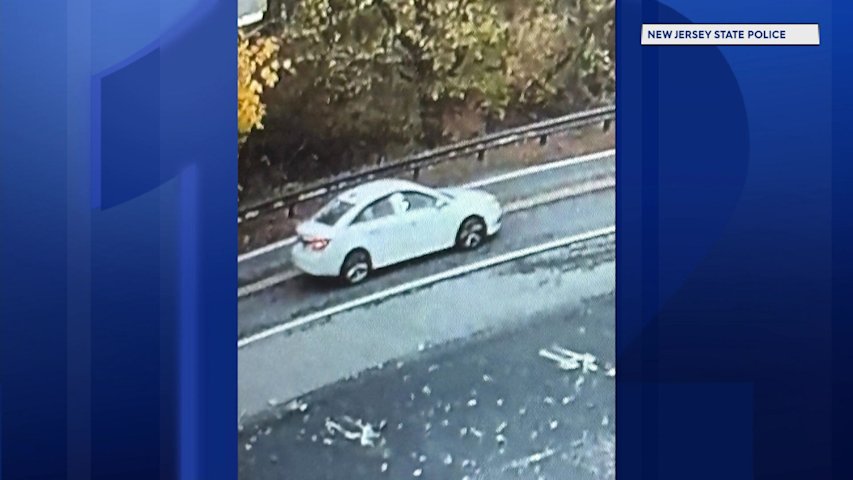Video thumbnail for Police search for driver who hit woman near stopped school bus