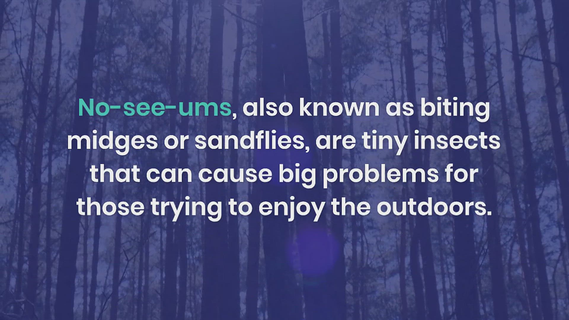 'Video thumbnail for How to Get Rid of No-See-Ums'