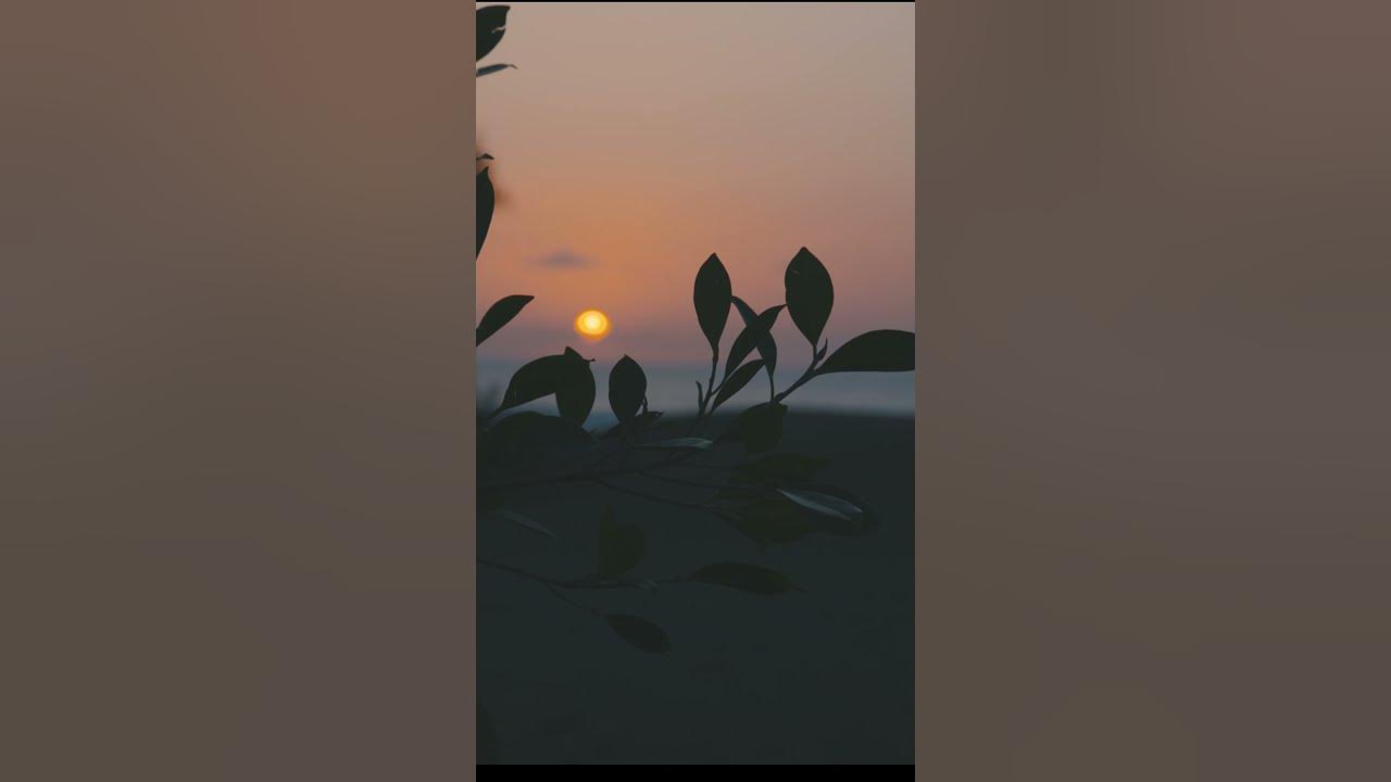 Video thumbnail for Geeta Gyan Adhyaay 2 Short Video 1