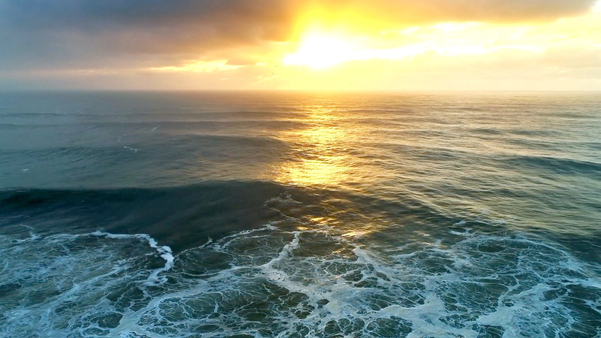 Video thumbnail for Researchers pinpoint source of deep-sea biotwang sound.