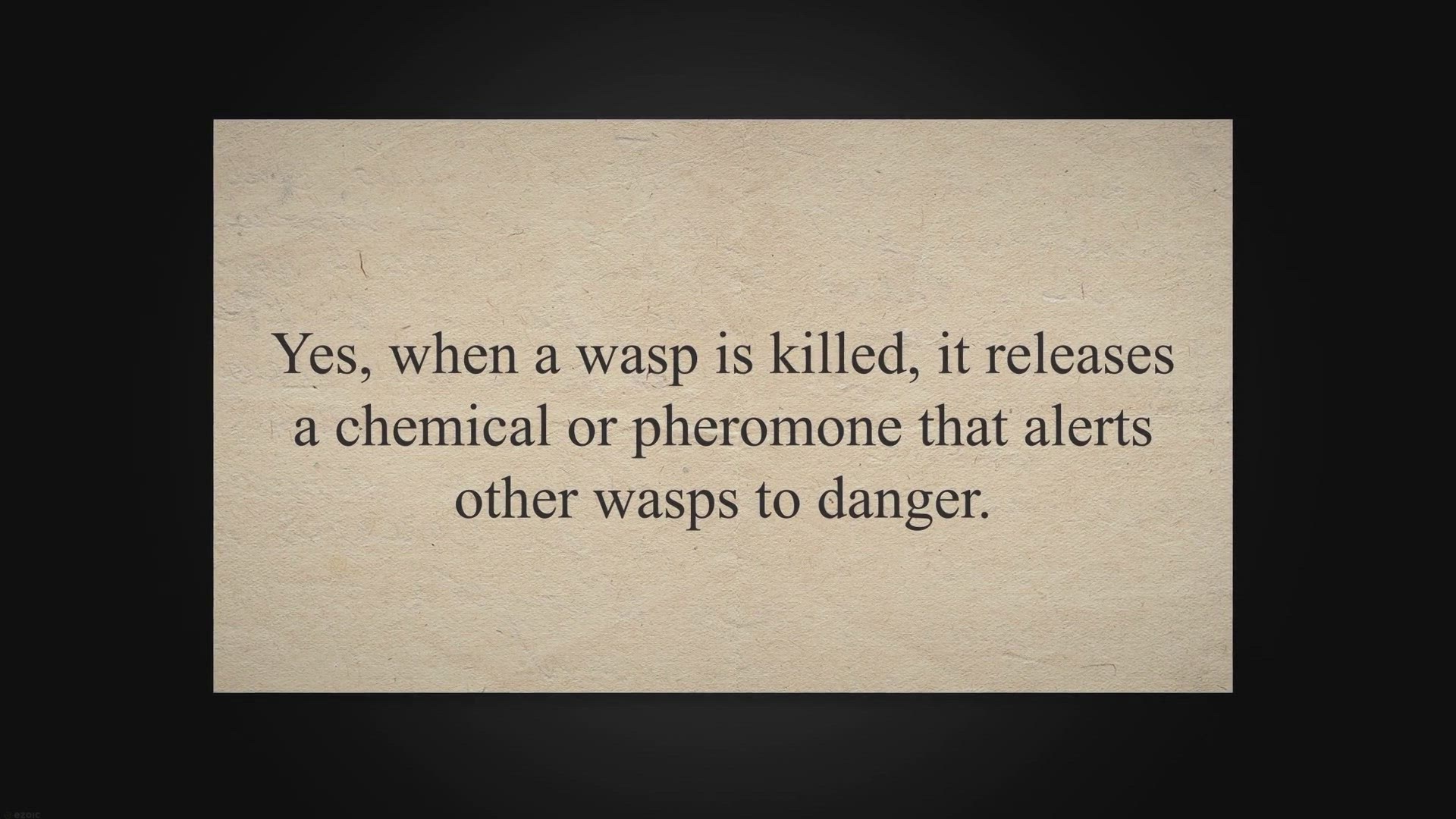Video thumbnail for Does Killing A Wasp Attract More (4 Methods To Get Rid Of Them)