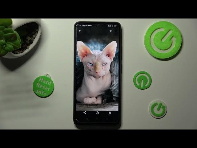 Video thumbnail for How to Find Downloaded Files in XIAOMI Redmi A1 Plus