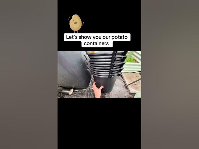 Video thumbnail for How to Grow Potatoes in Buckets