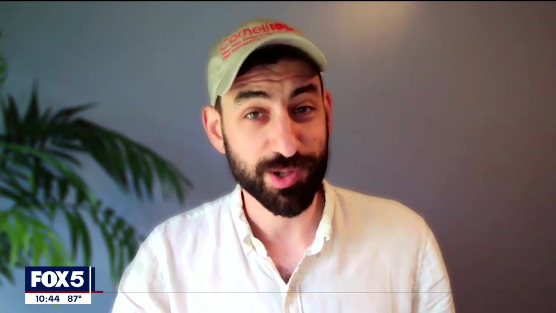 'Video thumbnail for NYC lanternfly populations are at its peak'