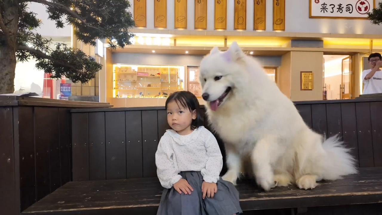 Video thumbnail for China: Little Girl and Big Samoyed.