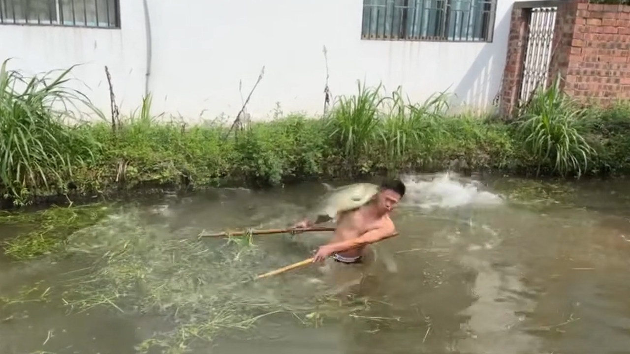 Video thumbnail for Fish Jump and Tap Fisherman in Guangdong Pond
