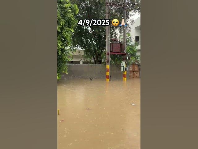 Video thumbnail for ਪੰਜਾਬ 🥺🙏🏻 #minivlog #sandeepchahal #punjabivlog