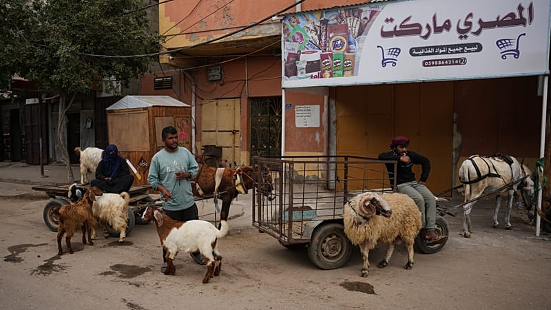 Video thumbnail for Gaza’s displaced brace for a bleak Eid al‑Adha amid war and soaring prices