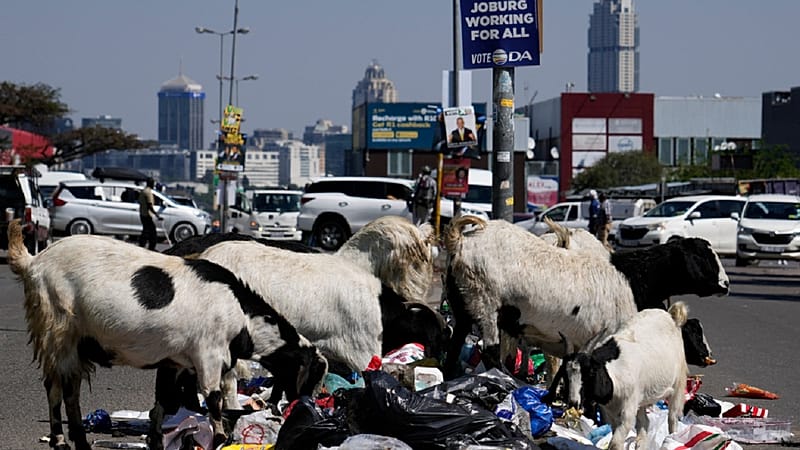 Video thumbnail for Johannesburg’s waste crisis leaves communities surrounded by illegal dumps