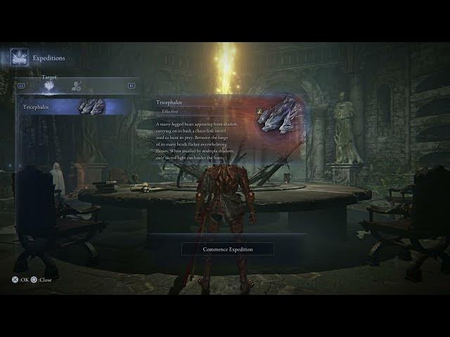 Video thumbnail for Elden Ring Nightreign - Roundtable Hold: Expeditions Message: Matchmaking Settings Gameplay