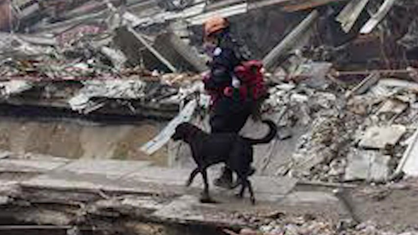 Video thumbnail for Suffolk SPCA rushed to Ground Zero to care for search-and-rescue dogs
