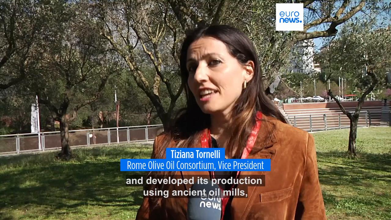 Video thumbnail for Olive harvesting at the Colosseum: a plantation in Roman ruins in the heart of the city