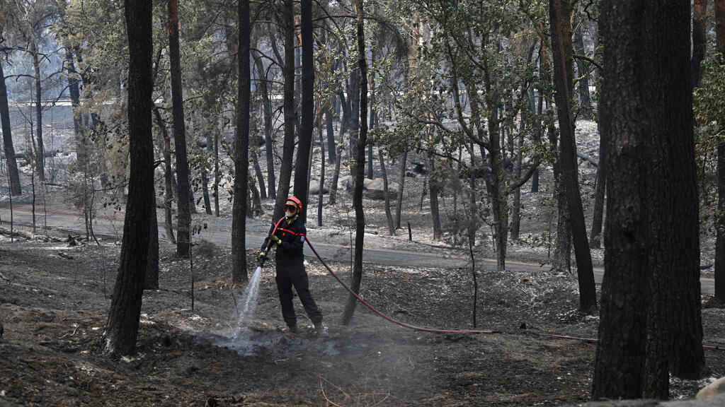 Video thumbnail for Fire reignites in Fontainebleau forest as investigation continues