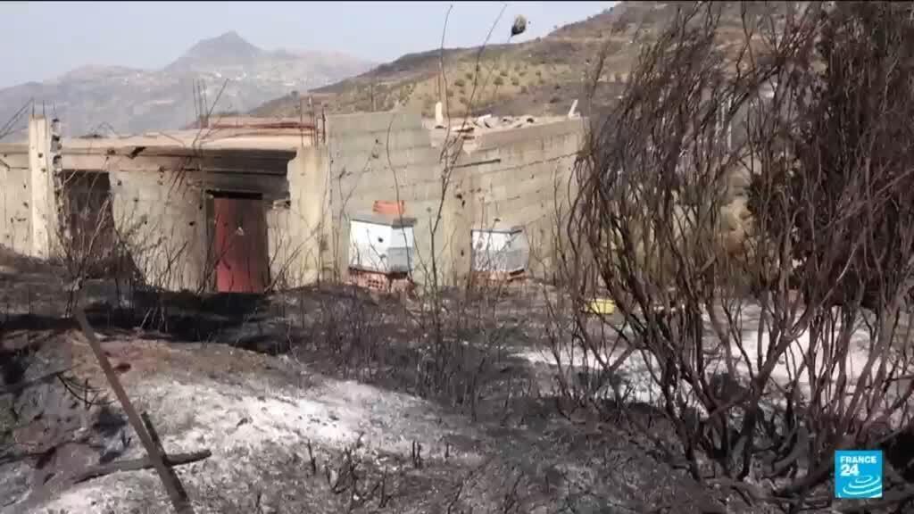 Video thumbnail for Algerian farmers on the frontline of heatwave-driven wildfires