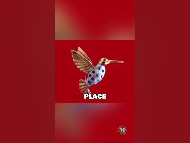 Video thumbnail for A Collector's Guide to Premier Designs Vintage Jewelry